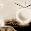 Summer Falls – Image 2