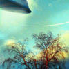 The Green Frontier – Image 2