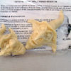 KLARK et Grospel magnets – Image 2