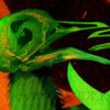 Baise-moi ! – Image 3