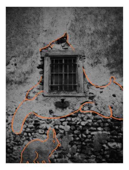 Le lièvre et le chien – Image 2