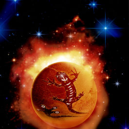 Salamander univers